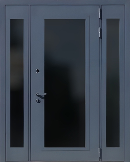 Остекленная термодверь с боковыми вставками и порошковым окрашиванием Остекленная термодверь с боковыми вставками и порошковым окрашиванием